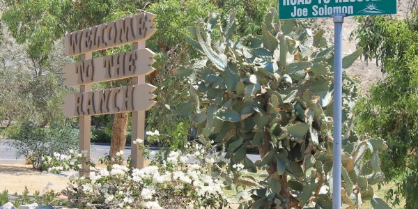 The Ranch Recovery